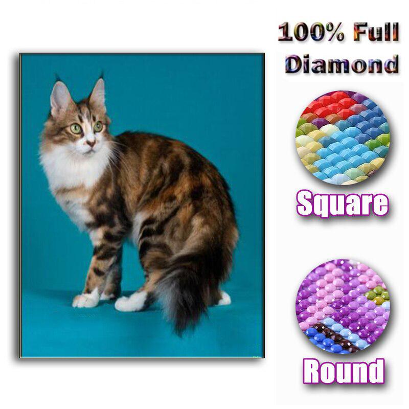 Weihnachtsgeschenke für die Heimdekoration, 5D-Diamantgemälde zum Selbermachen, Katze, voller Diamanten, Diamantstickerei 20X30CM