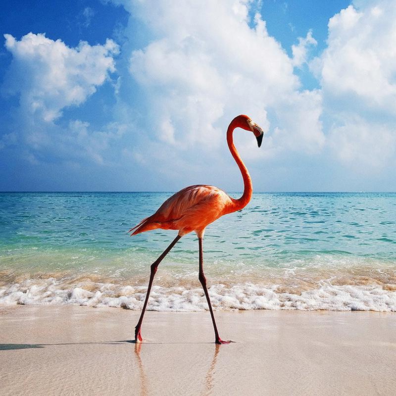 Diamant-Gemälde, Kreuzstich, weißer rosa Flamingo am Strand, Handarbeit, Stickerei, Diamant, dekorativ 30x30CM