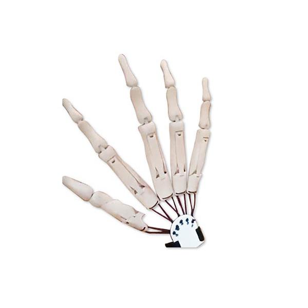 1 Paar Halloween Gelenkhandschuhe mit flexiblem Gelenk Halloween Party Kleid Cosplay Kostüm Requisiten 1 right hand weiß