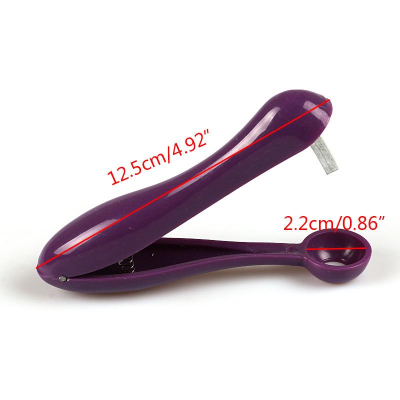 Neue 5'' Kirsche Obst Küche Pitter Remover Olive Corer Entfernen Pit Tool Seed Gadge Obst und Gemüse Werkzeuge Kirsche entkerner