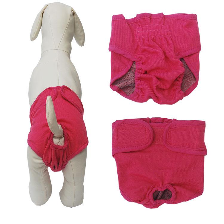 Mode Hund Physiologische Hosen Windel Sanitär Waschbar Weibliche Hund Höschen Für Hunde Sanitär Höschen M rot