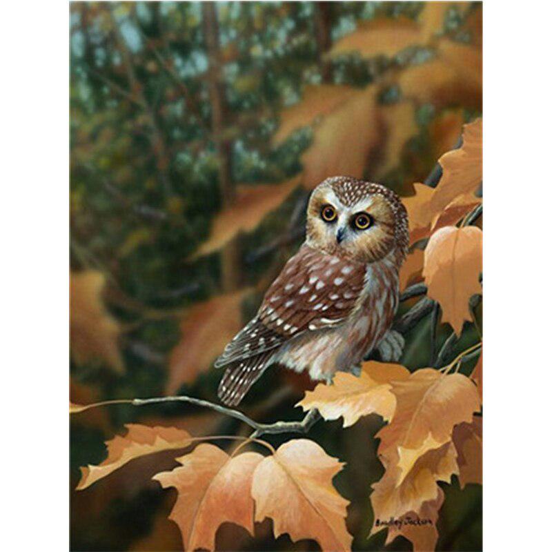 Zeichnung Cartoon Malen nach Zahlen Eule Kunst nach Zahlen 20X30CM
