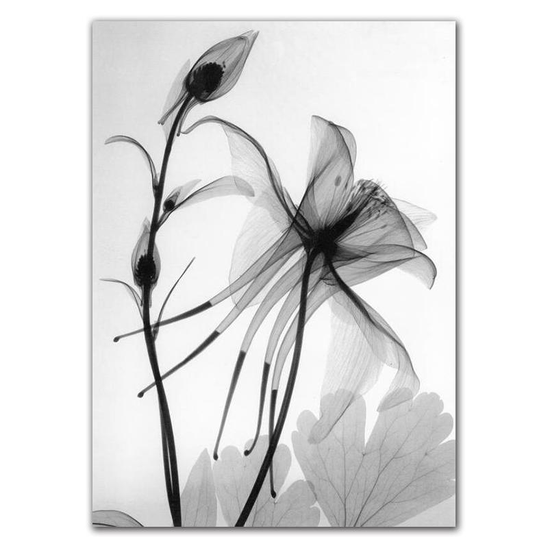 Schwarz Weiß Pflanze Leinwand Poster Nordic Abstrakte Blume Leinwand Drucke Wand Kunst Malerei Dekorative Bild Home Decor HD0035 40x60cm no frame