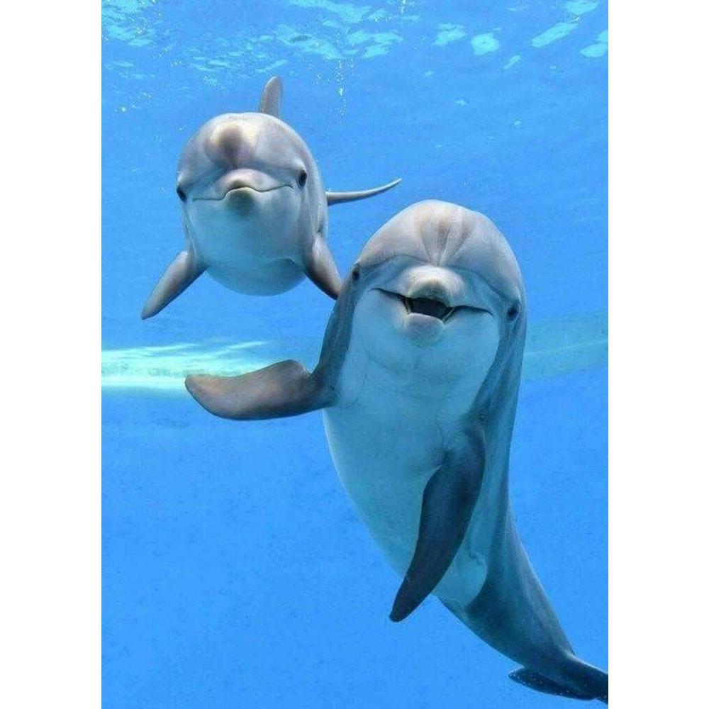 5D DIY Diamant Stickerei Delphin Diamant Malerei Kreuzstich voller Diamant Diamant Mosaik Home Dekoration Full Round 30X40CM