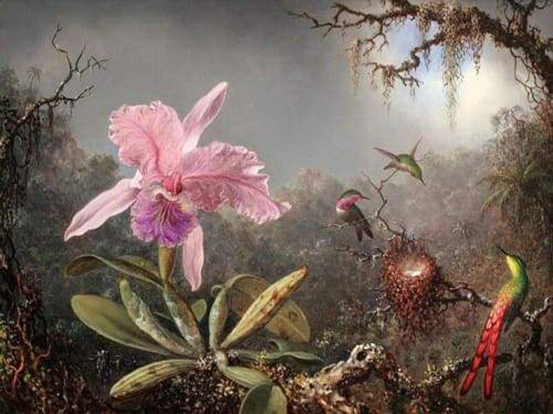 Stickbild Diamantstickerei Stickset Handarbeit Malset Orchideen und Kolibri 20X30CM