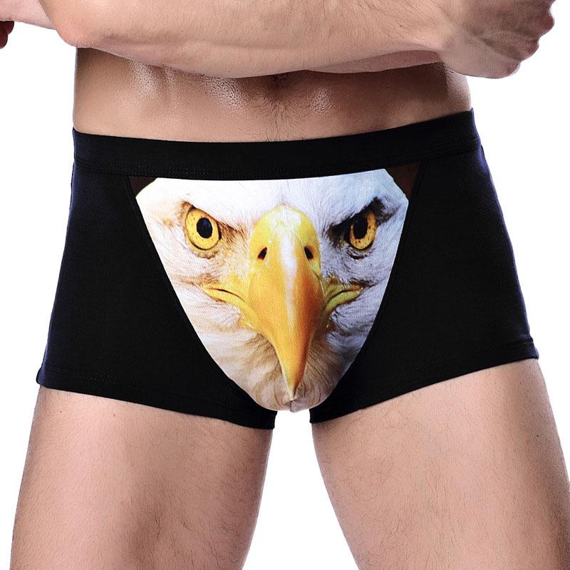Herrenunterwäsche, modische 3D-Wolfskopf-bedruckte Slips, Unterhosen, lustige Adler-gemusterte Boxershorts Goshawk head-XL schwarz