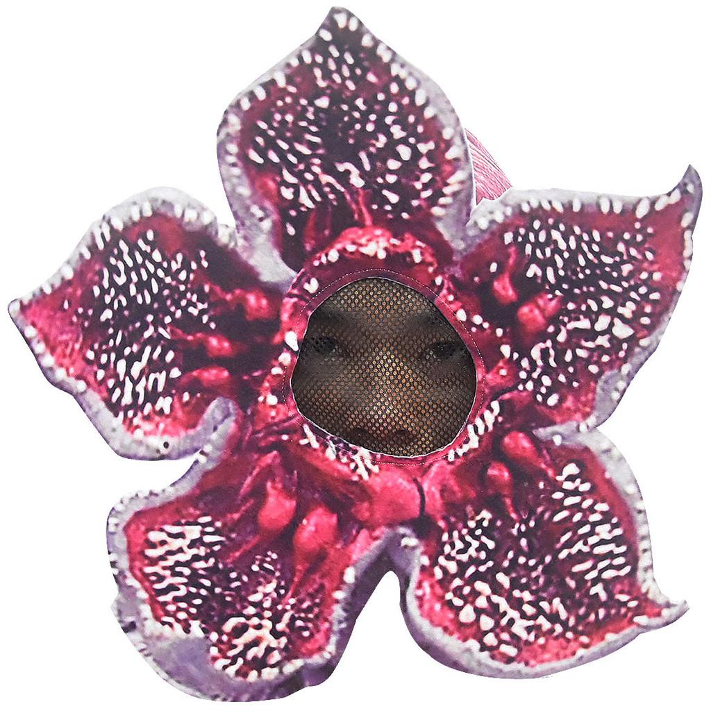 Unisex Stranger Things Demogorgon Kopfbedeckung Maske Halloween Cosplay Kostüme 35*35cm