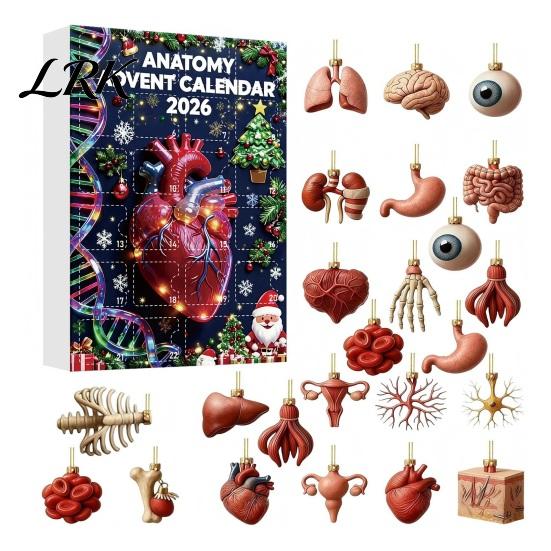 Geschenke für Medizinstudenten 2026 Anatomie Adventskalender, 24-Tage Körperorgan-Schmuckset, Menschliche Anatomische Kreative Wissenschaftsdeko zum Aufhängen für Weihnachten A black