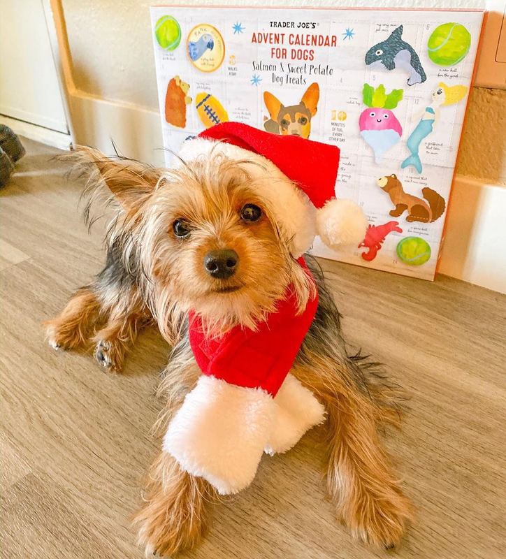 Haustierbedarf Weihnachts-Hut-Schal-Set für Katzen und Hunde Geeignet für kleine Haustiere Hundezubehör für kleine Hunde Haustierbedarf L
