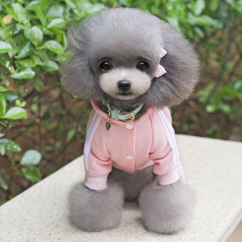 XS-XXL Haustier Hund Kleidung Warme Hund Overall Katze Welpen Pyjamas Kleidung Verdicken Haustier Hoodie Mantel Outfit Für Hunde M rosa