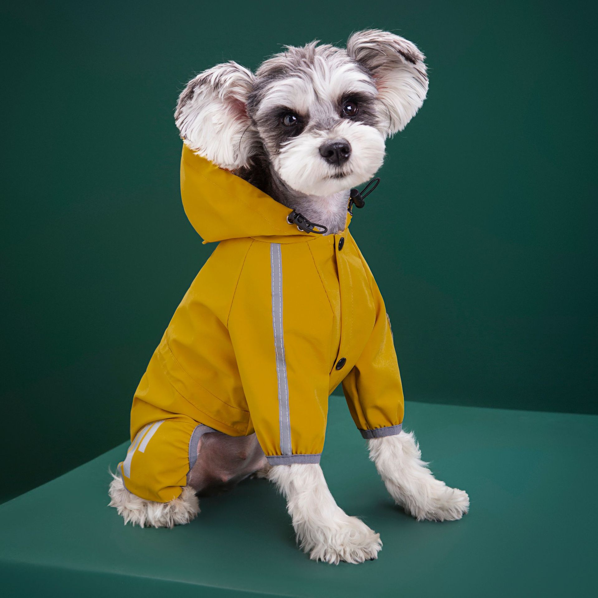 Hunderegenmantel Reflektierend Wasserdicht Haustierkleidung Für Chihuahua Malteser Regenmantel Kleine Mittlere Hunde Overall Regenmantel Hunde Overalls (as the picture,M)