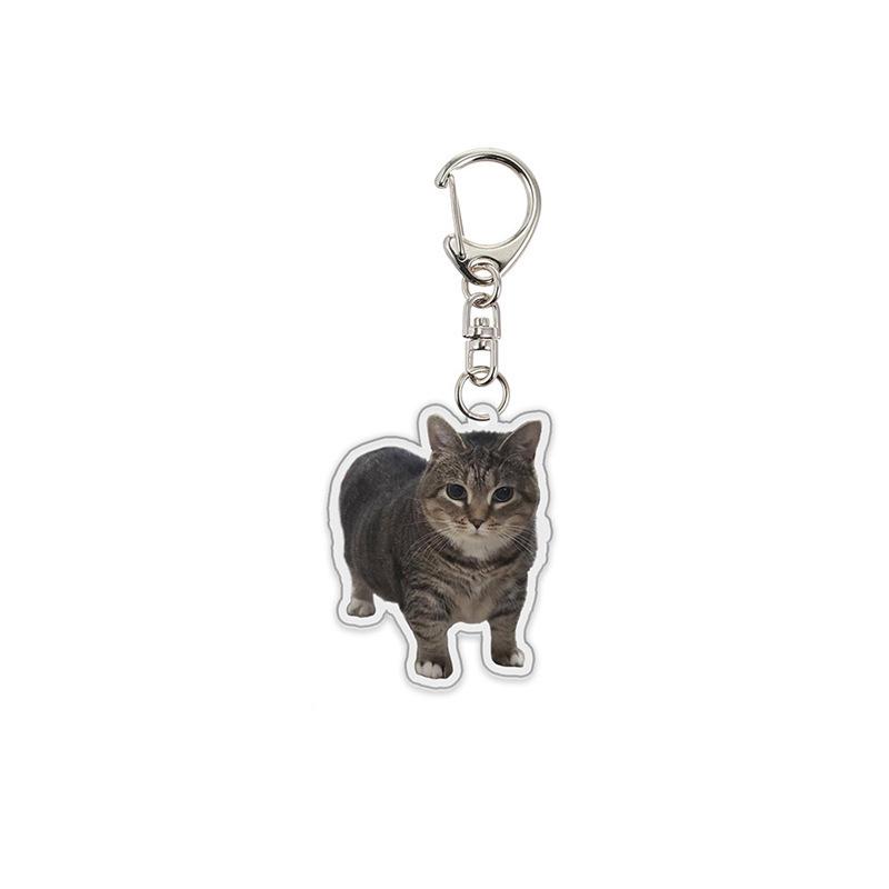 1 Stück Katzen Schlüsselanhänger Katzen Tier Schlüsselanhänger Kreative Schlüsselanhänger Lustige 2D Flache Niedliche Acryl Rucksack Anhänger Zubehör F