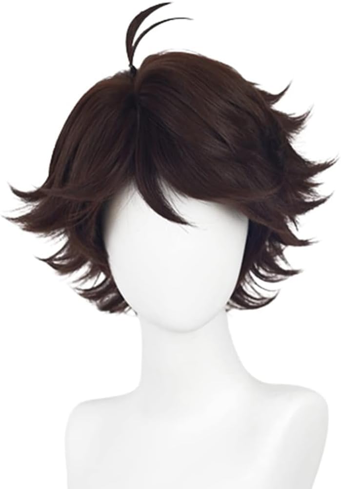 Cosplay-Perücke mit Netz, Toru Oikawa, schwarze Perücke (Toru Oikawa)