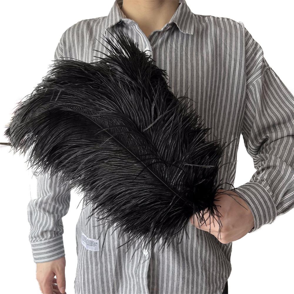 10 Stück 45-50cm Straußenfedern für Bastelarbeiten Hochzeitsfeier Dekoration Federn Straußen Tischmittelstücke Farbige Federn Dekoration 25-30cm 12-14inch schwarz