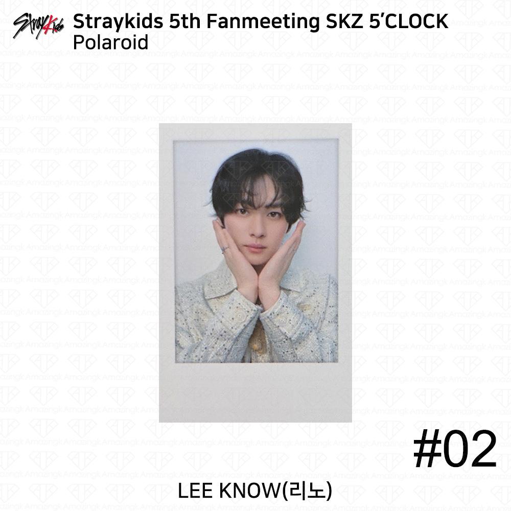STRAY KIDS 5. Fantreffen SKZ 5'CLOCK Offizielle MD Blechhülle Polaroid KPOP K-POP Leeknow - Polaroid #2