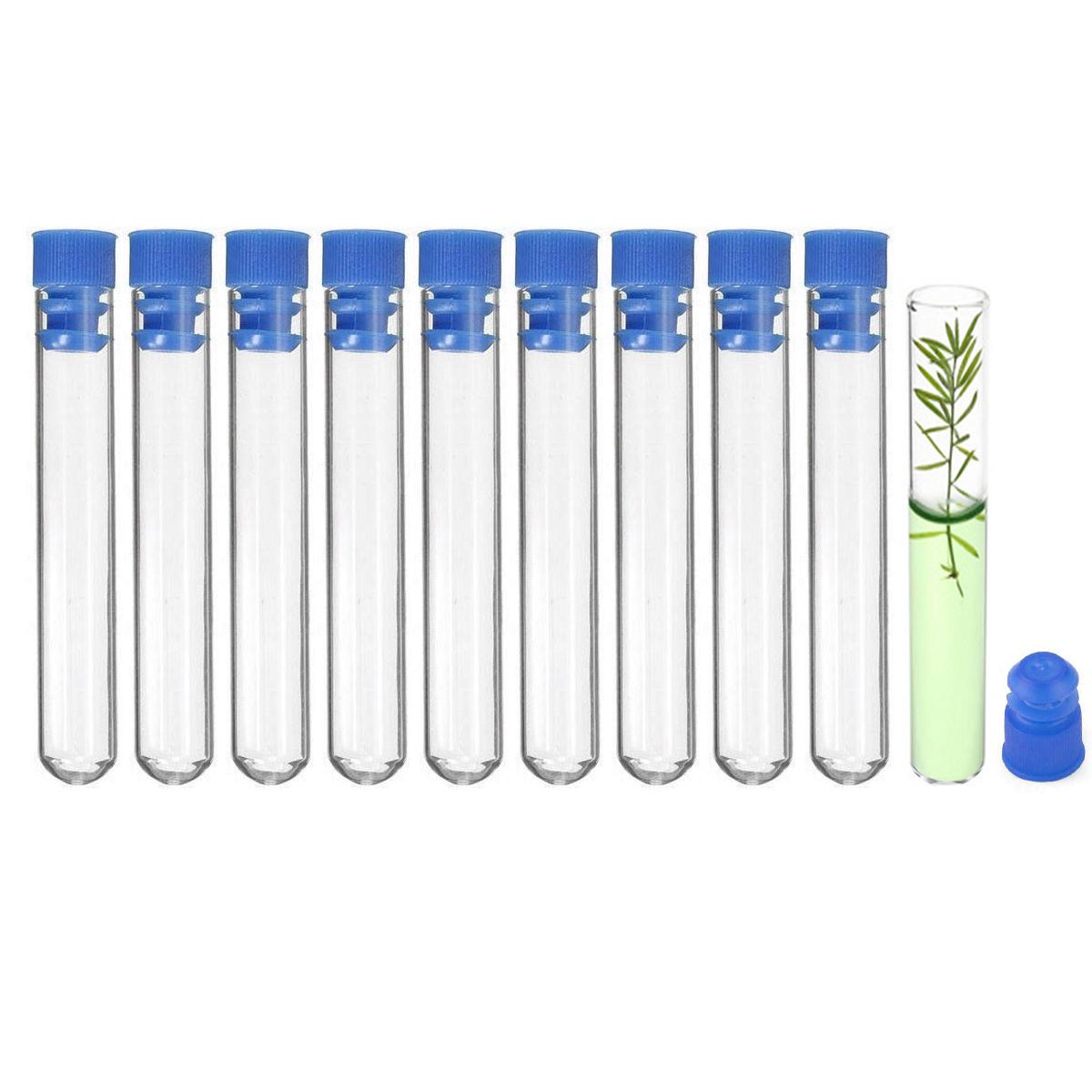 10 Stück Reagenzgläser aus Borosilikatglas mit rundem Boden, Reagenzgläser aus klarem Glas für wissenschaftliche Experimente, Dekorationen, Pflanzenvermehrung und Weihnachtsgeschenke 12x75mm   10pcs||12x75mm  10pcs