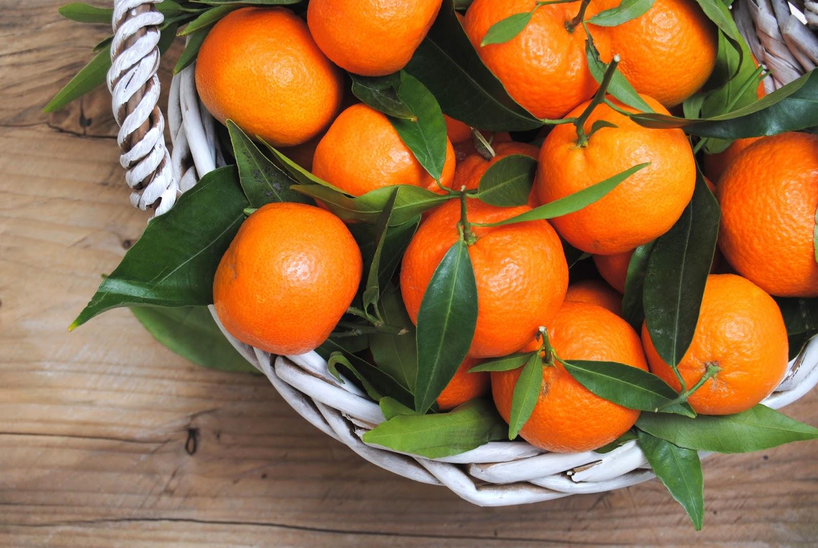 10 CLEMENTINE-SAMEN – FRISCHE SAMEN + KOSTENLOSER VERSAND