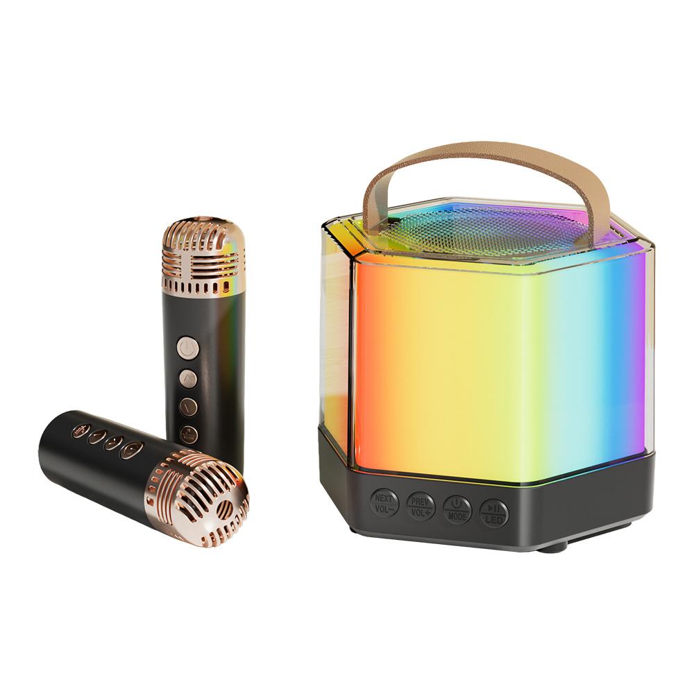 Karaoke Maschine Mini Drahtlose Mikrofon und Lautsprecher Set mit 2 Mikrofon RGB Farbe Licht Handheld schwarz
