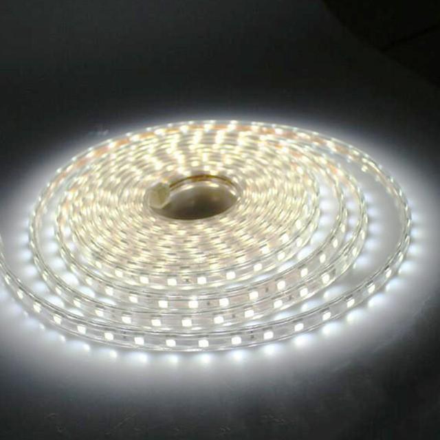 Wasserdichte SMD 5050 AC220V LED Streifen Flexible Licht 60leds/m LED Band LED Lichter Beleuchtung Wohnzimmer Dekor Lampe 1M weiß