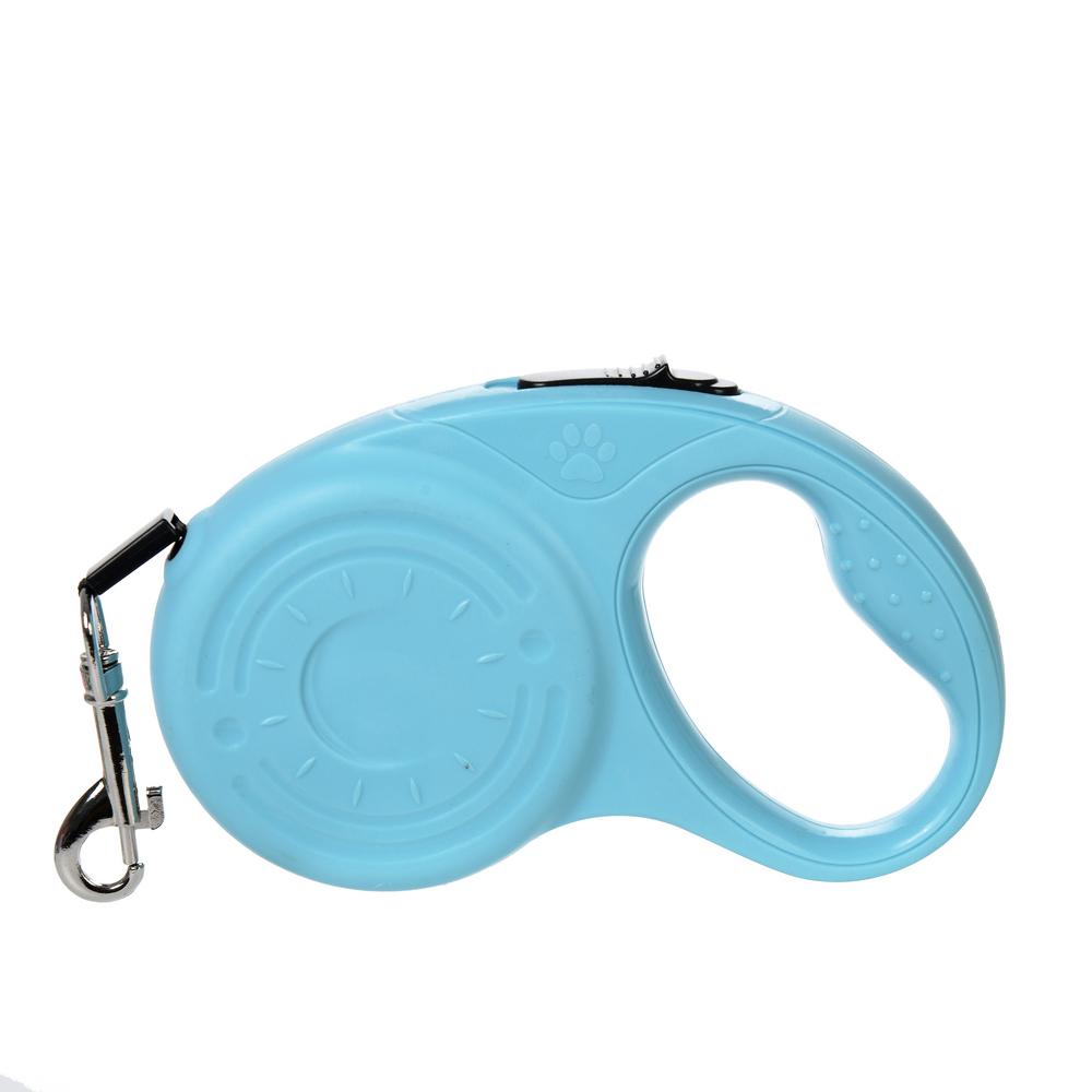 3m 5m Hundeleine Für Kleine Mittelgroße Hunde Outdoor Spaziergang Welpe Stark Langlebig Einziehbar Nylonseil Yorkies Corgi Haustierbedarf 3M blau