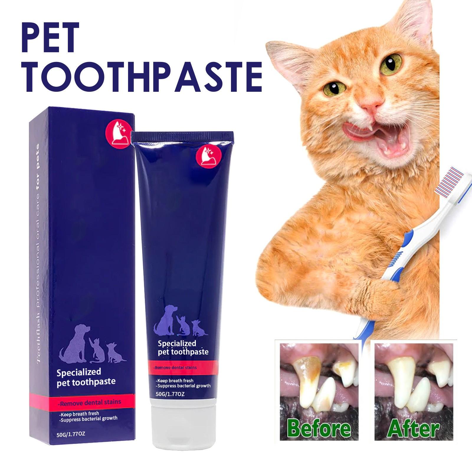Tierzahnpasta für Katzen und Hunde Tiermaulreinigungspaste Plaque und Zahnstein Katzen, Katzen und Hunde Reinigt Mundgeruch Zahnsteinverfärbungen Zähne One Size orange