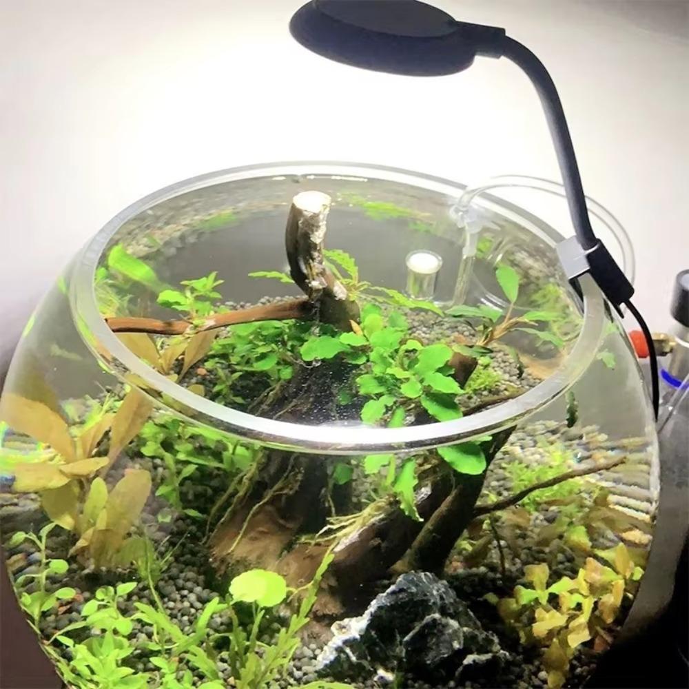 Aquarium USB Kleine Klemme Leuchte Mini LED Beleuchtung Hohe Helligkeit Aquarium Wasserpflanzen Licht Zusatzlicht Transparente Klemme schwarz