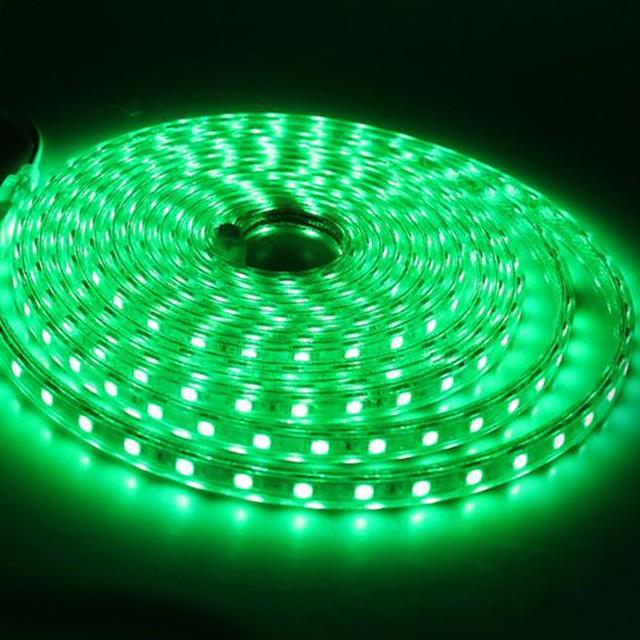 Wasserdichte SMD 5050 AC220V LED Streifen Flexible Licht 60leds/m LED Band LED Lichter Beleuchtung Wohnzimmer Dekor Lampe 1M grün
