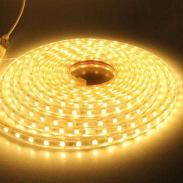Wasserdichte SMD 5050 AC220V LED Streifen Flexible Licht 60leds/m LED Band LED Lichter Beleuchtung Wohnzimmer Dekor Lampe 1M warm weiße