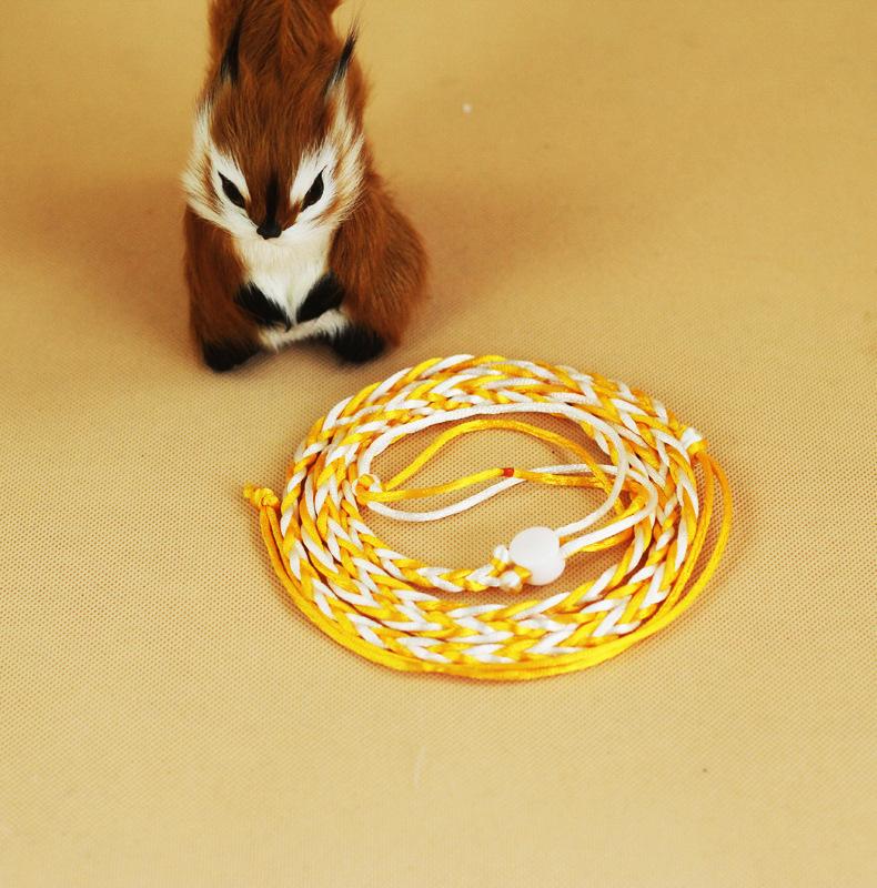 Haustierleine Zugseil Leine Spaziergang 1.4/2m Hamster Meerschweinchen Cobaya Kaninchen Frettchen Chinchillas Klein Halsband Leine 140CM gelb