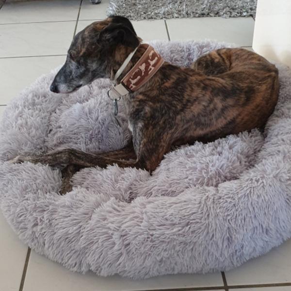 Luxuriöses, flauschiges, extra großes Hundebett, Sofa, waschbares, rundes Hundekissen, Haustierbett für große, extra große Hunde XL licht grau