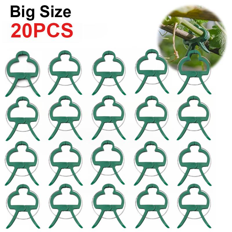 50 Stück Pflanzen-Befestigungsklammern, wiederverwendbar, für Gartengewächshaus, Klemmhalterung für feste Pflanzen, Ranken, Blumen, Sämlinge, Stiel-Unterstützungswerkzeuge Big-20Pcs