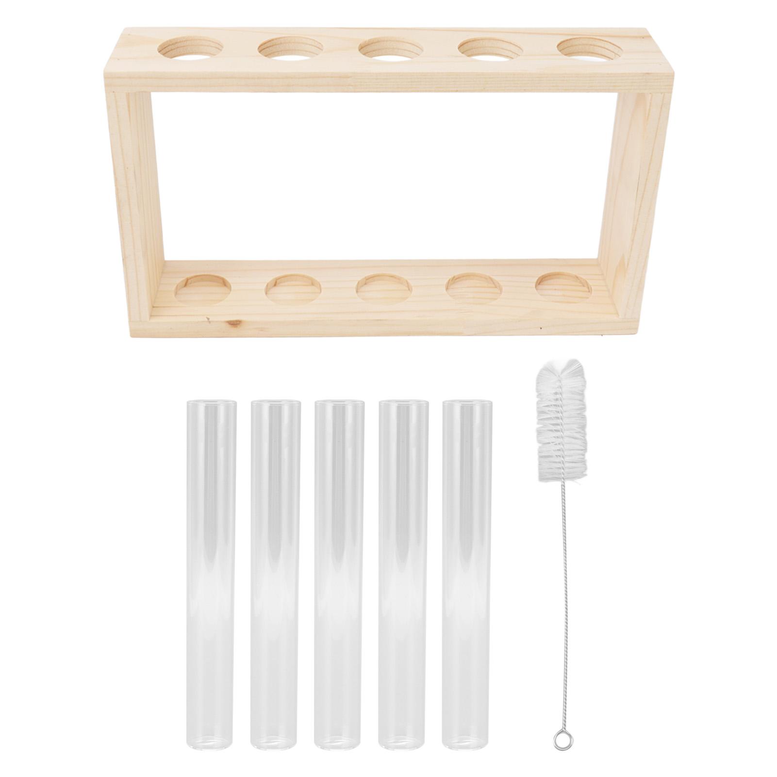 5 Reagenzglas Pflanzen Terrarium Transparent Wachstumsstatus beobachten Wasserpflanzenhalter mit Holzständer