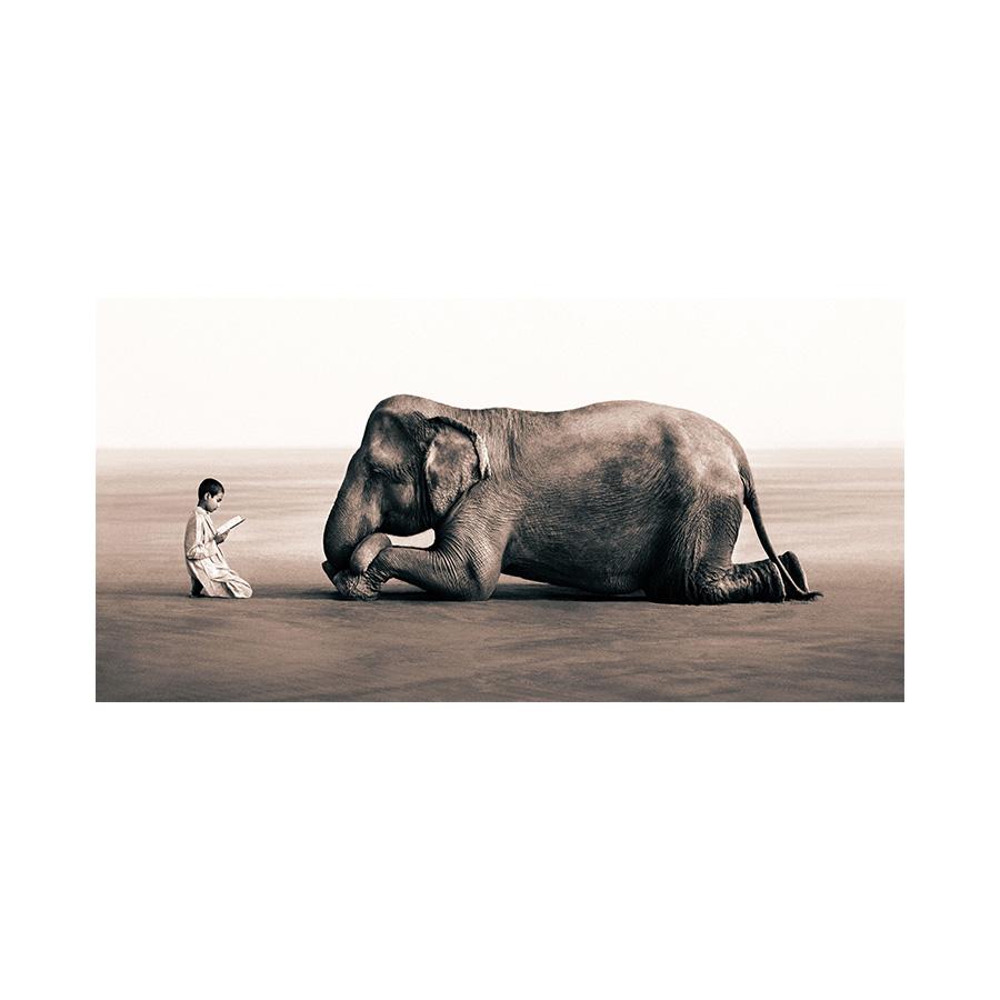Junge liest Elefanten Leinwand Malerei Asche und Schnee Poster und Drucke Wand Kunst Tiere Bilder für Wohnzimmer Wohnkultur 40x80cm