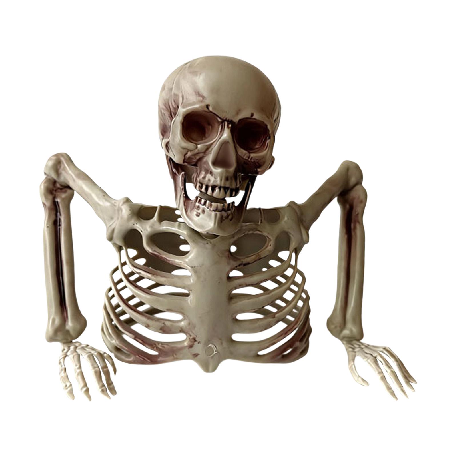 Realistischer halber Skelett-Torso Halloween Spukhaus Dekoration Lebensgroßer Knochen-Requisit für Innen- und Außenausstellung One Size black