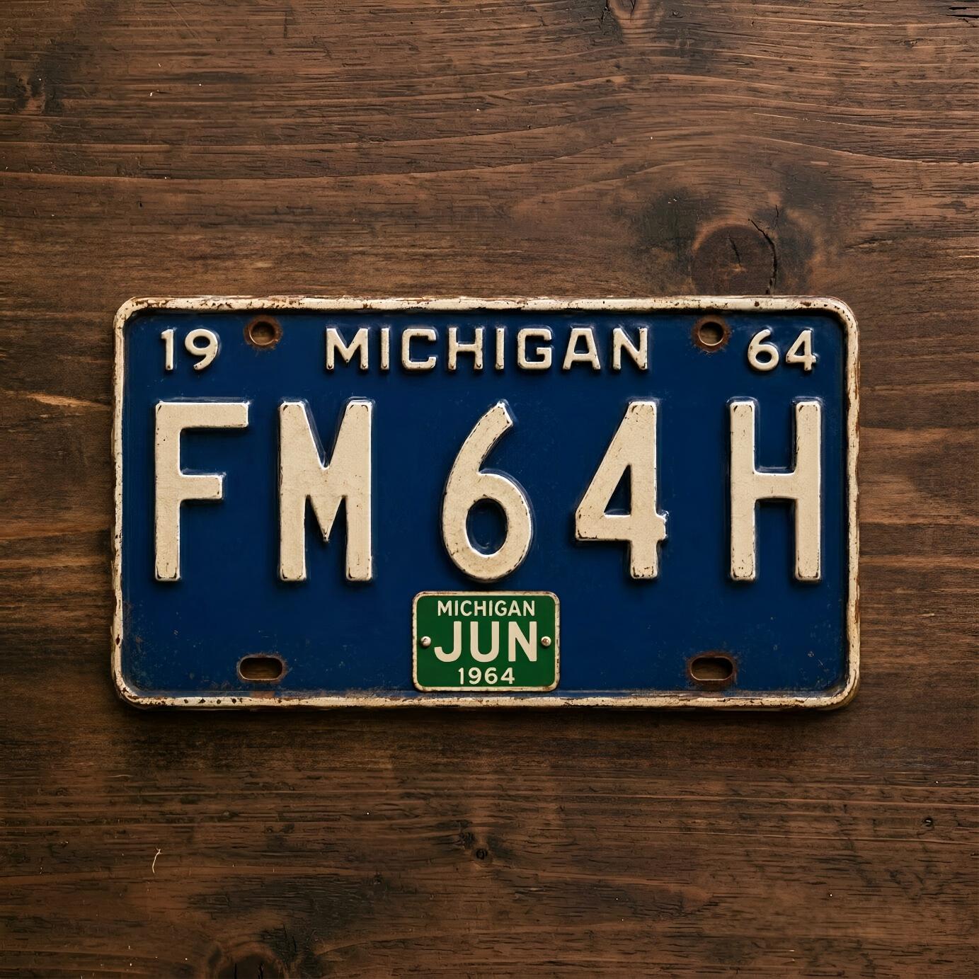 US-Kennzeichen Auto Metallschild Blechschild Garage Plakette Metall Wanddeko Vintage Dekor 15x30cm