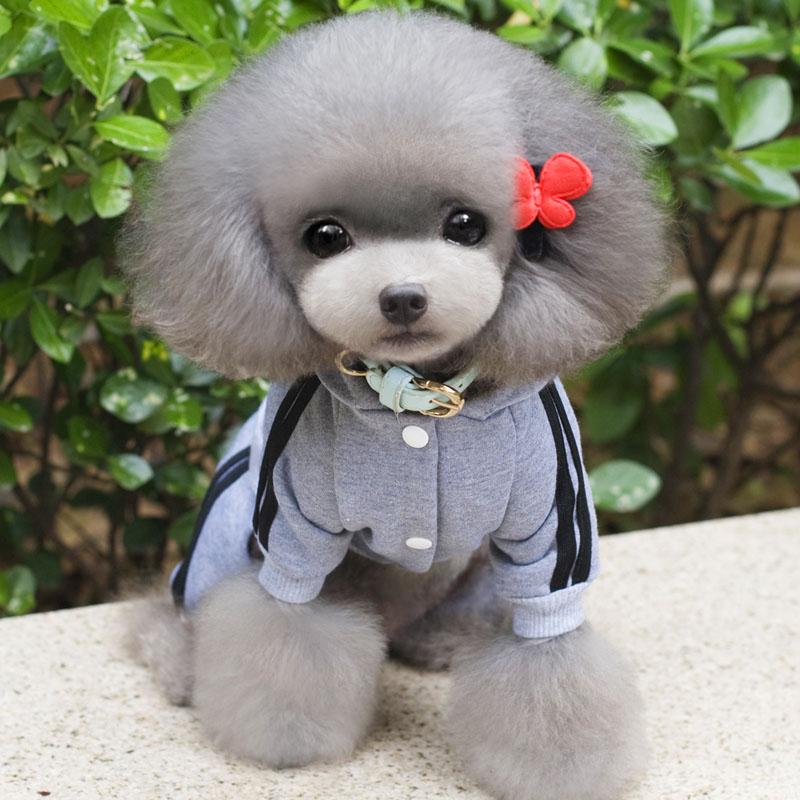 XS-XXL Haustier Hund Kleidung Warme Hund Overall Katze Welpen Pyjamas Kleidung Verdicken Haustier Hoodie Mantel Outfit Für Hunde XS graue