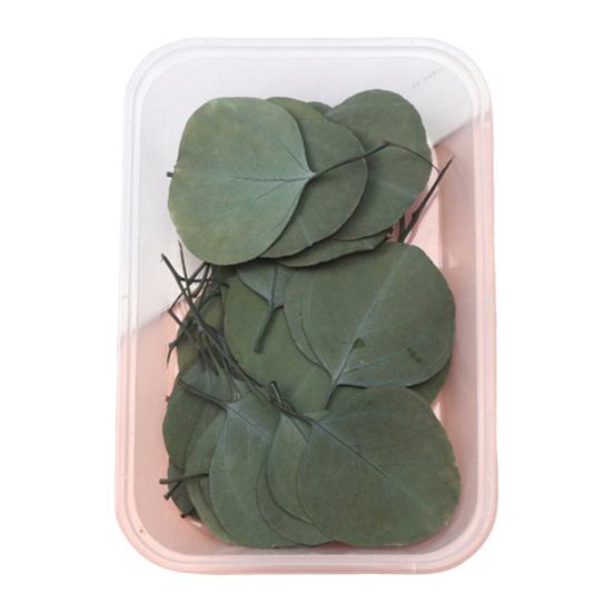 Trockenblumen-Set, echte natürliche Blumen, getrocknete Blumen in großen Mengen, DIY-Ewige Blumen, Material für handgefertigten Schmuck, Nägel, Basteln