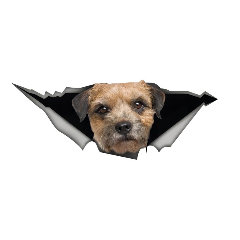 Border Terrier Autoaufkleber, Wasserdichte PVC-Tieraufkleber mit 3D-Effekt, Kratzschutz und Spaßsteigerung Autoteile 15cm-Longest Side