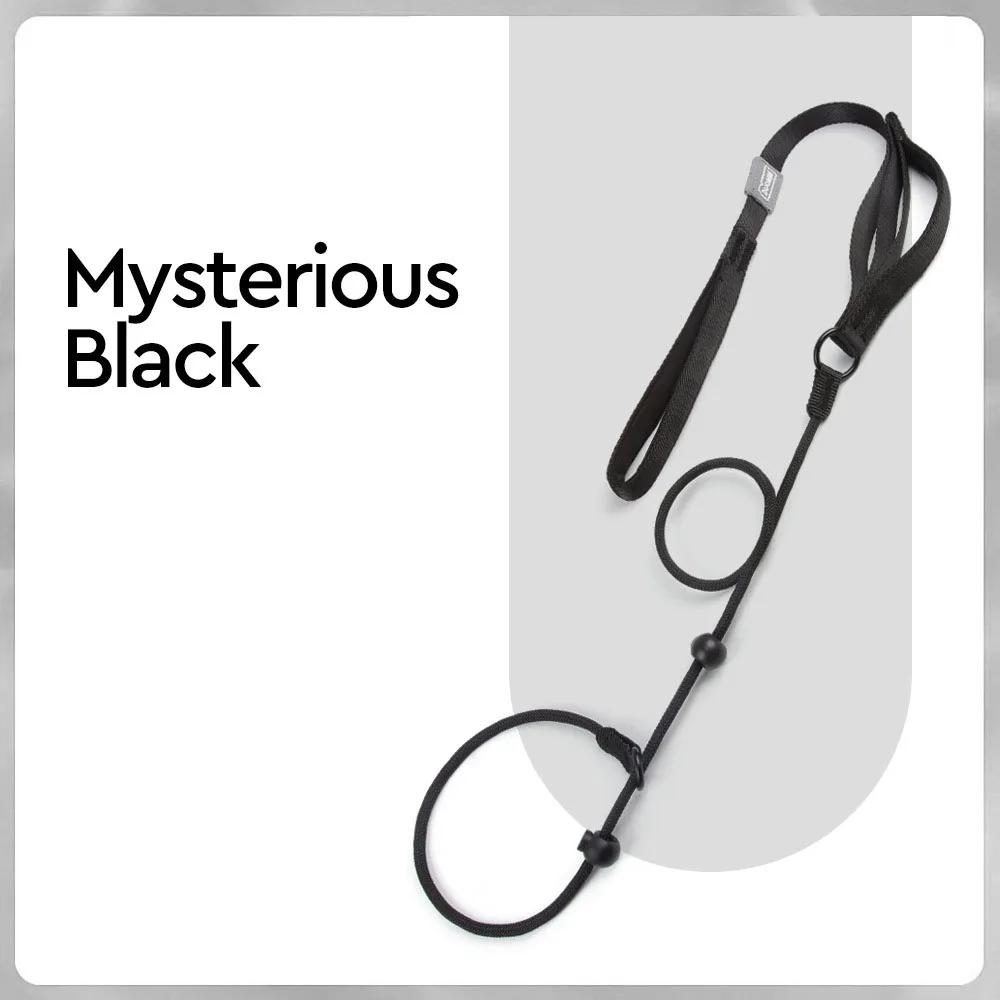 Nylon-Schlupfleine, Hunde-Schlupfleine und Halsband, Hundetrainingsleine mit Doppelgriff, robuste Hundeleine, kein Ziehen, Laufleine für Welpen 170cm x 0.6cm schwarz
