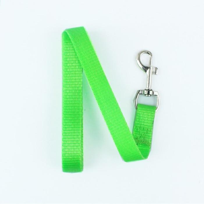 120 x 1,5 cm, Einzelgröße, Welpen-Hundeleine, Nylon-Haustiergurt, Seil, kleine Hundeleinen, Gürtel grün