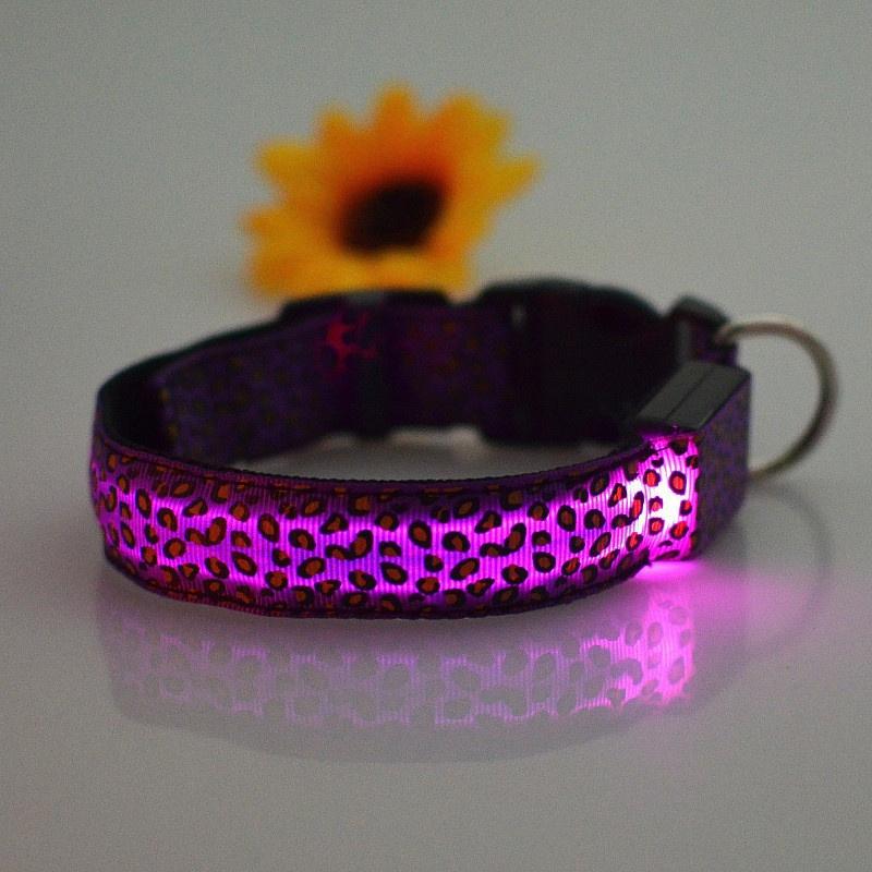 Heimtierbedarf, leuchtendes Hundehalsband, LED-Licht emittierendes Halsband, Haustier-Leopardenfleck-Hundehalsband, fluoreszierende Linien M violett