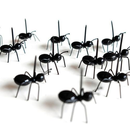 12 stücke Ant Zahnstocher Obst Dessert Gabel Wiederverwendbare Ant Lebensmittel Pick Tier Vorspeise Gabeln Für Snack Kuchen Dessert 12pcs schwarz