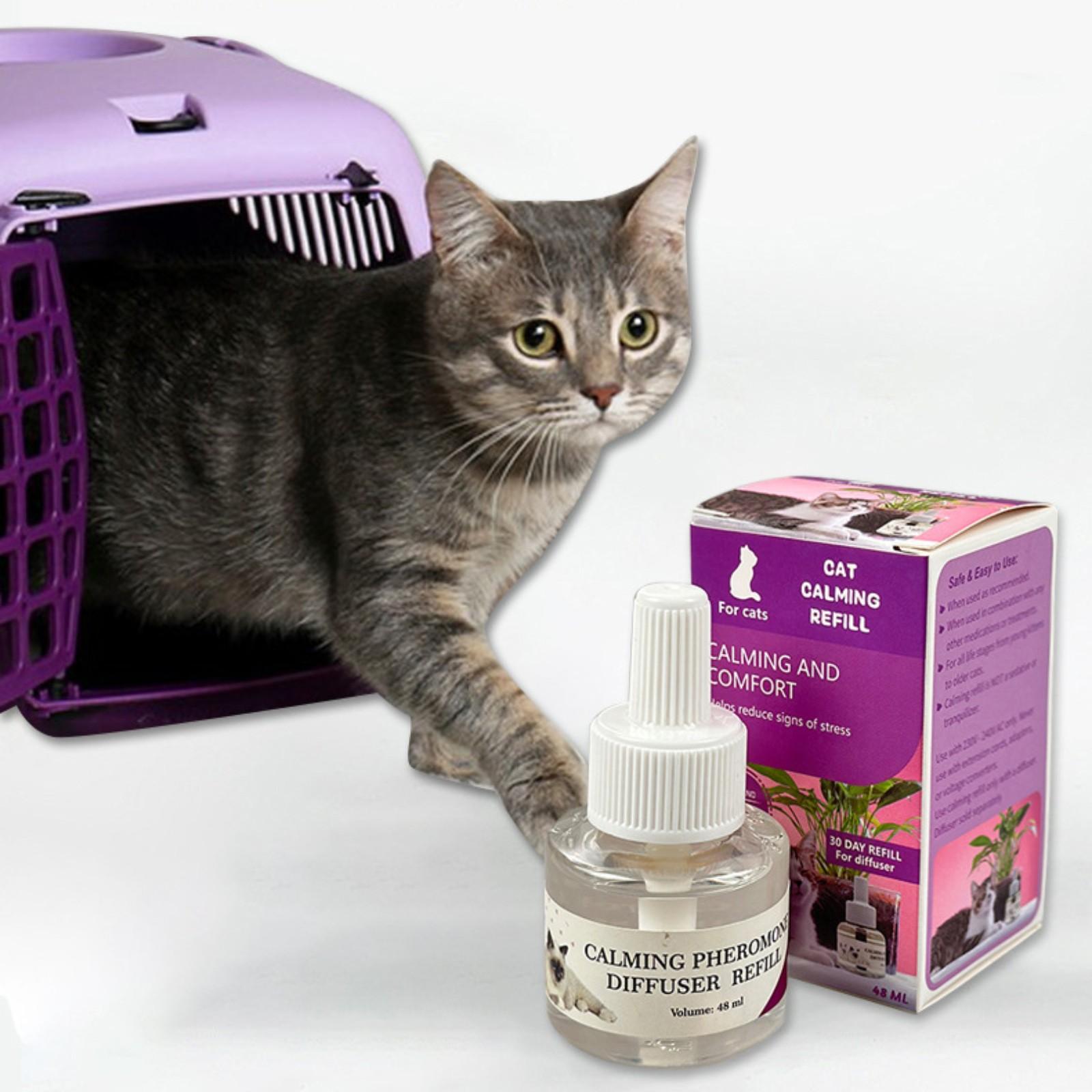 48 ml Katzenpheromone verhindern, dass Katzen kratzen und urinieren. Katzenpheromone – Anti-Stress- und emotionales Beruhigungsmittel für Katzen. One Size violett