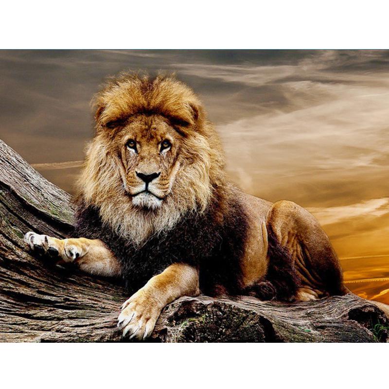 Tiere Diamantmalerei Bunte Tiere Bild Strass Diamant Stickerei 40X50CM