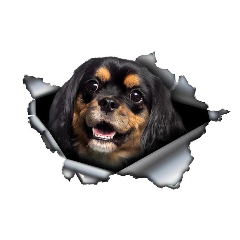 Schwarzer und brauner Cavalier King Dog 3D-Vinyl-Autoaufkleber, lustiger Versicherungs-Autoaufkleber für Autos, LKWs, Motorräder, Wände, Fenster, PVC-Material 15cm-Longest Side