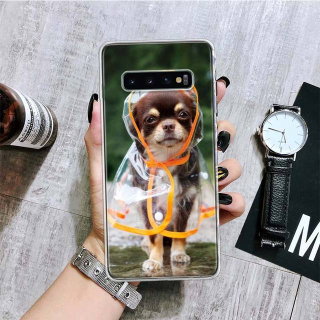 Chihuahua Welpen Teetasse Hunde Telefon Fall Für Samsung Galaxy S20 Fe S10 Plus S21 S22 S23 Ultra S10e S9 S8 s7 Rand Fundas Abdeckung Coqu Samsung S21 FE