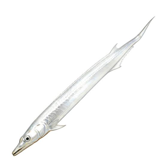 Herren Hemd Krawatte 3D Fisch Affe Design Samt Krawatte Tier Fliege Halsschmuck Realistische Textur Vielseitiger Stil Krawatte white