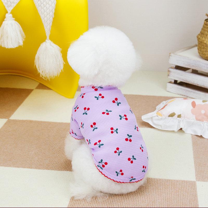 Sommer Hunde T-Shirts für kleine Hunde Welpen Hundekleidung Luxus Hunde Sweatshirt Kirschdruck Bekleidung Chihuahua Bichon Kleidung 2024 XS white