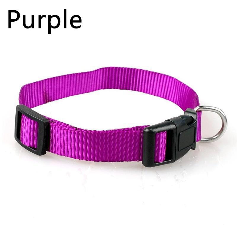 1PC Haustier Zubehör Haustier liefert Nylon Haustier Halskette Hundehalsband verstellbare feste Farbe Welpen Leine S violett