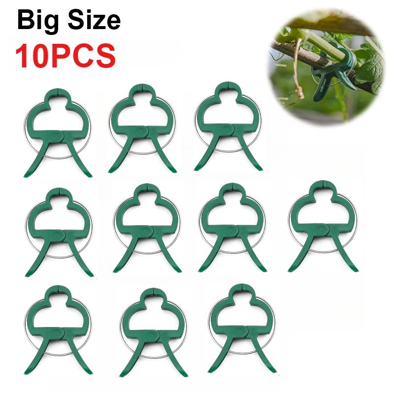 50 Stück Pflanzen-Befestigungsklammern, wiederverwendbar, für Gartengewächshaus, Klemmhalterung für feste Pflanzen, Ranken, Blumen, Sämlinge, Stiel-Unterstützungswerkzeuge Big-10Pcs